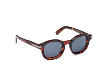 Ermenegildo Zegna EZ0229 54V