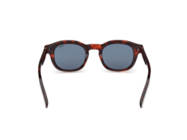 Ermenegildo Zegna EZ0229 54V