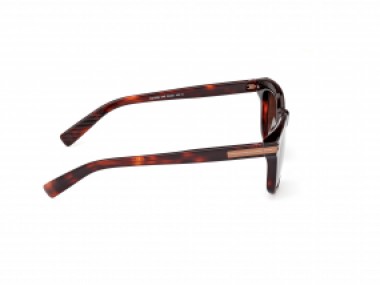 Ermenegildo Zegna EZ0238 54E