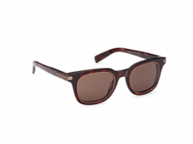 Ermenegildo Zegna EZ0238 54E