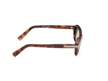 Ermenegildo Zegna EZ0239 52N