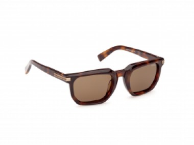 Ermenegildo Zegna EZ0240 52J