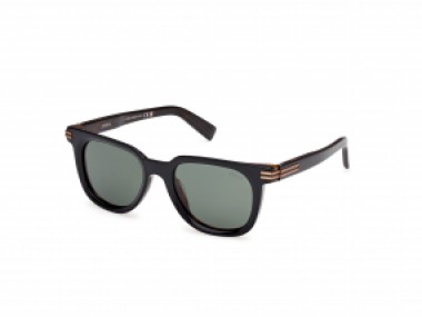 Ermenegildo Zegna EZ0248 05R