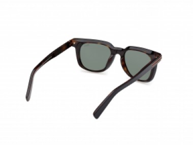 Ermenegildo Zegna EZ0248 05R