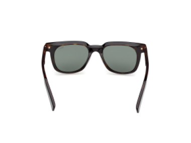 Ermenegildo Zegna EZ0248 05R