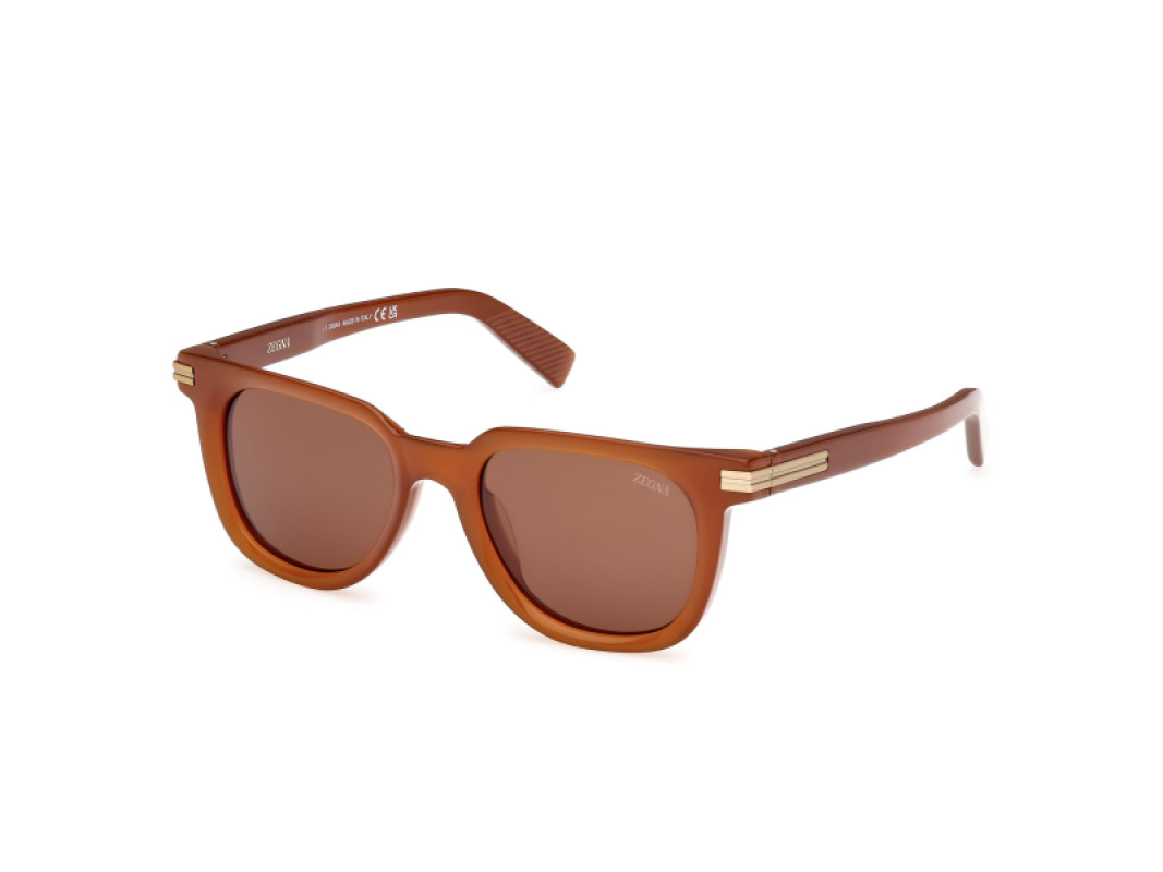 Ermenegildo Zegna EZ0248 45E