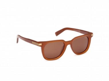 Ermenegildo Zegna EZ0248 45E