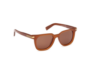 Ermenegildo Zegna EZ0248 45E