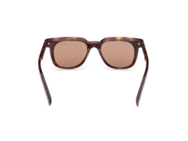 Ermenegildo Zegna EZ0248 52E