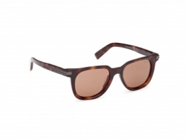 Ermenegildo Zegna EZ0248 52E