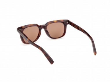 Ermenegildo Zegna EZ0248 52E