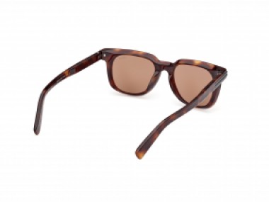 Ermenegildo Zegna EZ0248 52E