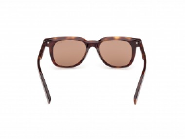 Ermenegildo Zegna EZ0248 52E