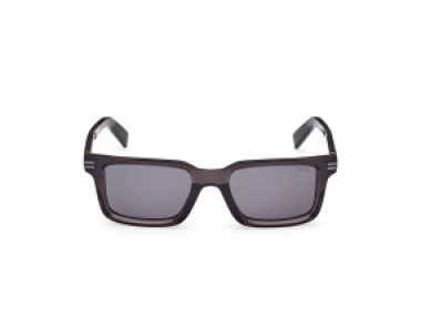 Ermenegildo Zegna EZ0249 20D