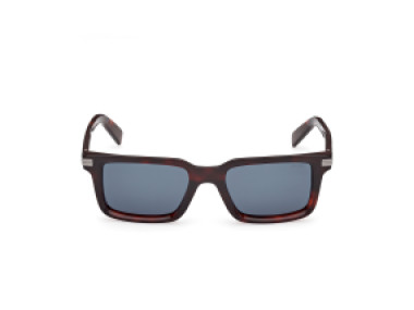 Ermenegildo Zegna EZ0249 54V