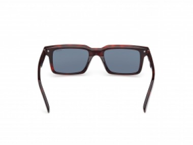 Ermenegildo Zegna EZ0249 54V