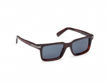 Ermenegildo Zegna EZ0249 54V