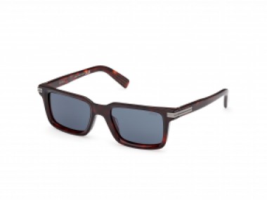 Ermenegildo Zegna EZ0249 54V