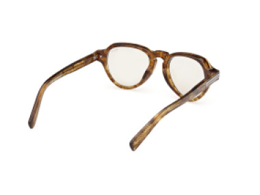 Ermenegildo Zegna EZ0252 47E