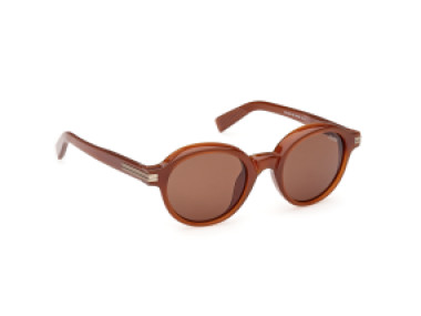 Ermenegildo Zegna EZ0253 45E