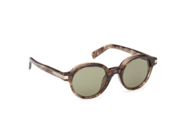 Ermenegildo Zegna EZ0253 50N