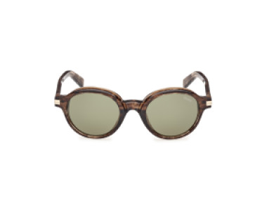 Ermenegildo Zegna EZ0253 50N