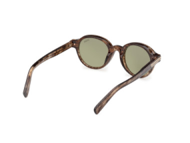Ermenegildo Zegna EZ0253 50N