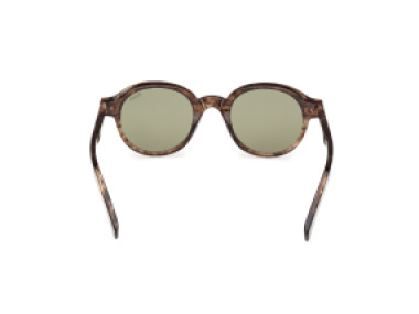 Ermenegildo Zegna EZ0253 50N