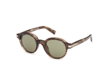 Ermenegildo Zegna EZ0253 50N