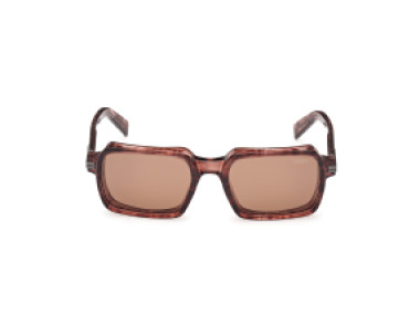 Ermenegildo Zegna EZ0254 71E