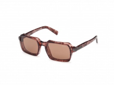 Ermenegildo Zegna EZ0254 71E