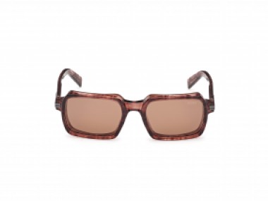 Ermenegildo Zegna EZ0254 71E