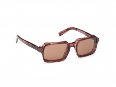 Ermenegildo Zegna EZ0254 71E