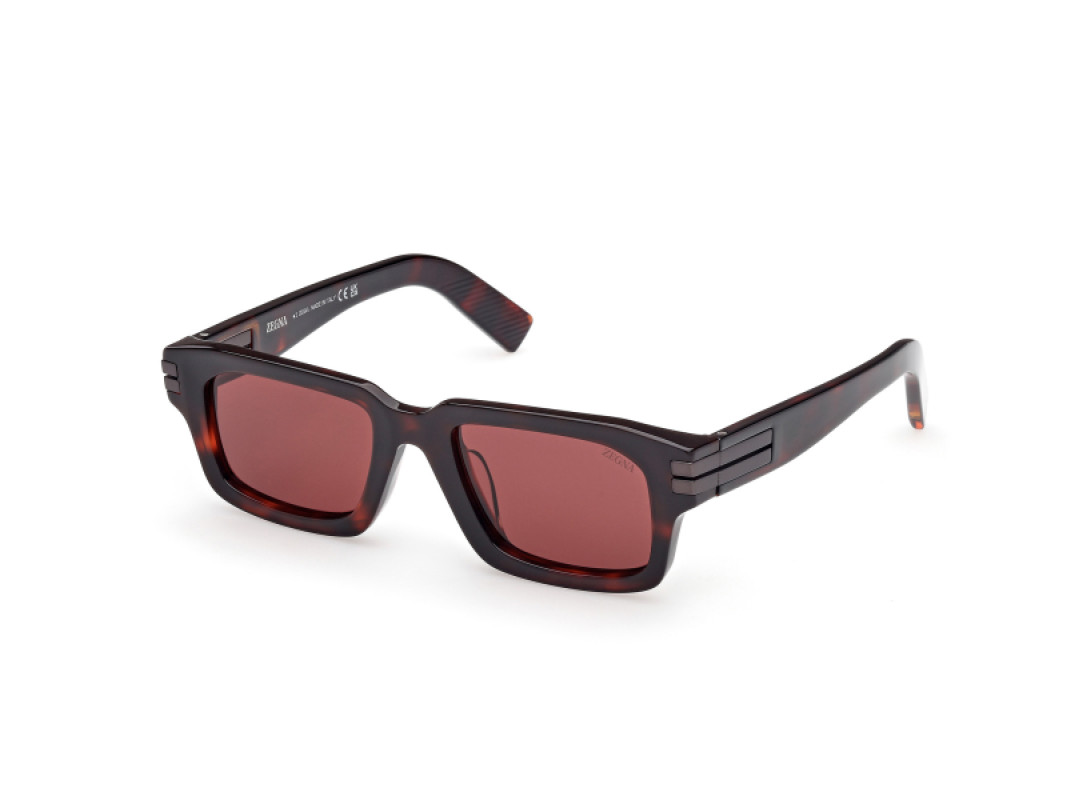 Ermenegildo Zegna EZ0255 54S