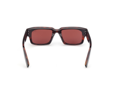 Ermenegildo Zegna EZ0255 54S