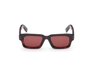 Ermenegildo Zegna EZ0255 54S