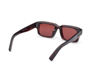 Ermenegildo Zegna EZ0255 54S