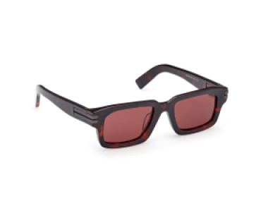 Ermenegildo Zegna EZ0255 54S