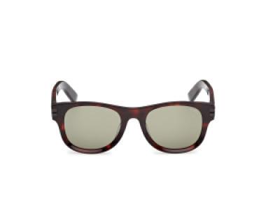 Ermenegildo Zegna EZ0268 54N