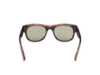 Ermenegildo Zegna EZ0268 54N