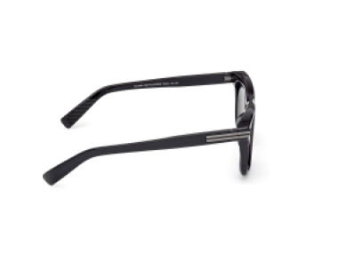 Ermenegildo Zegna EZ0269 20D