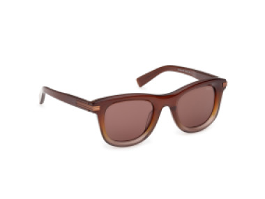 Ermenegildo Zegna EZ0269 50E