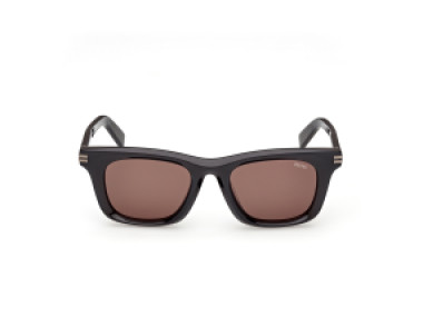 Ermenegildo Zegna EZ0270 20E