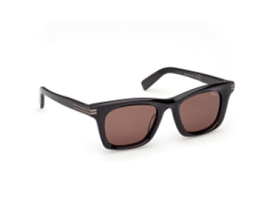 Ermenegildo Zegna EZ0270 20E