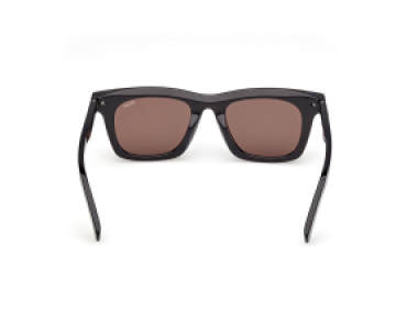Ermenegildo Zegna EZ0270 20E