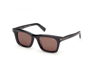 Ermenegildo Zegna EZ0270 20E