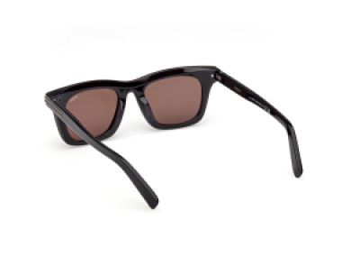 Ermenegildo Zegna EZ0270 20E