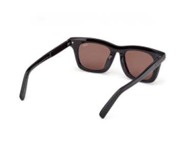 Ermenegildo Zegna EZ0270 20E