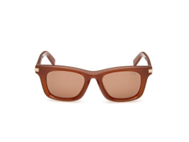 Ermenegildo Zegna EZ0270 45E