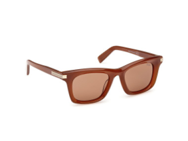 Ermenegildo Zegna EZ0270 45E